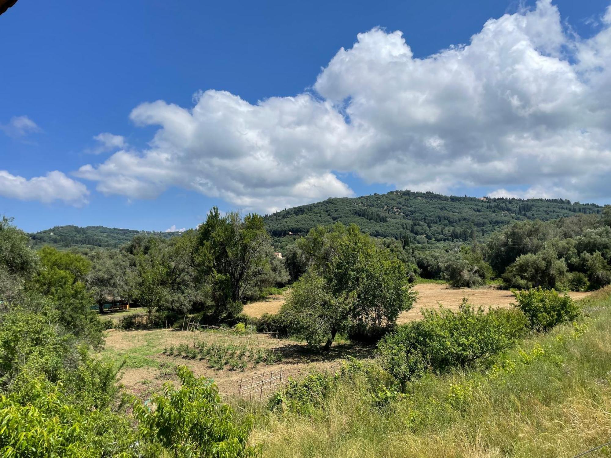 Villa Katerina Agios Georgios Pagon Habitación foto